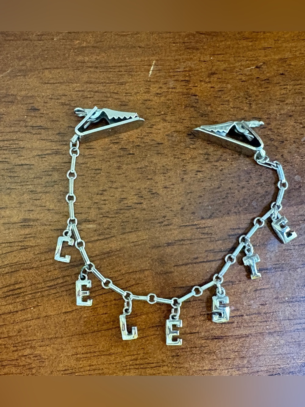 Silver CELESTE Charm Pin
